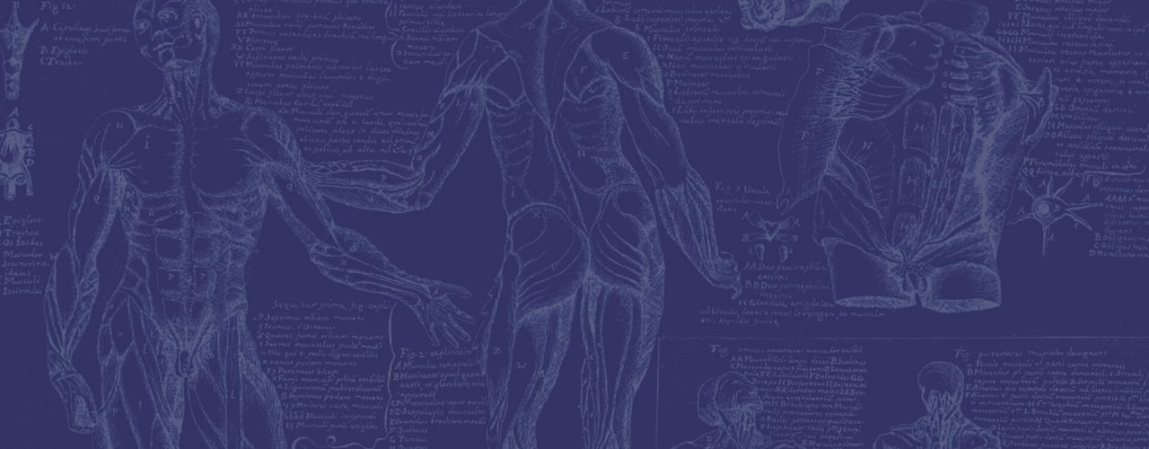 nöroloji uzmani didem er